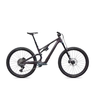 Specialized Stumpjumper 15 EVO Expert AXS - Gloss Nebula Metallic / Dolomite Metallic