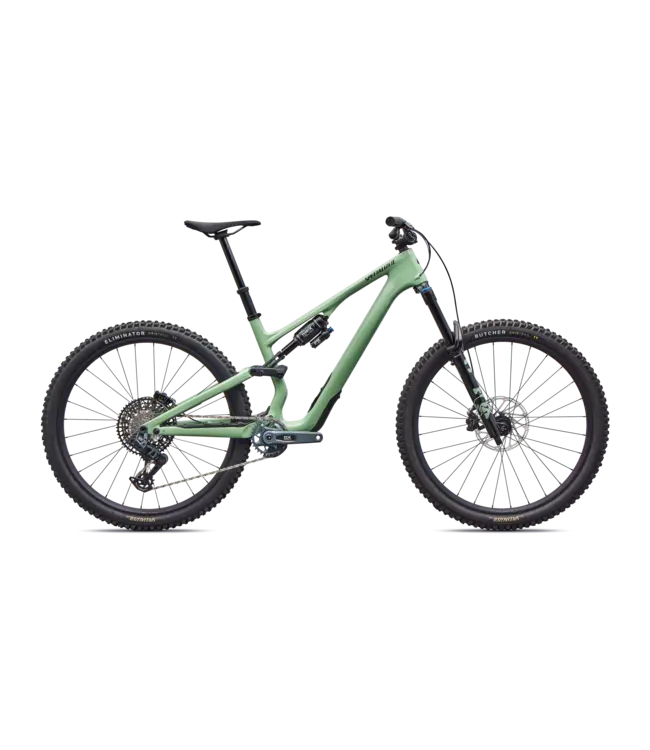 Specialized Stumpjumper 15 EVO Expert AXS - Gloss Pistachio / Dark Moss Green