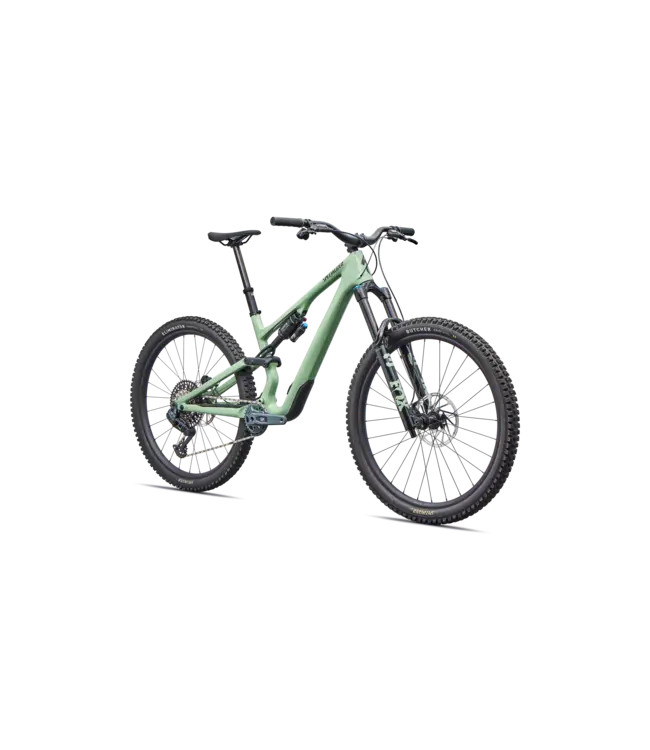 Specialized Stumpjumper 15 EVO Expert AXS - Gloss Pistachio / Dark Moss Green