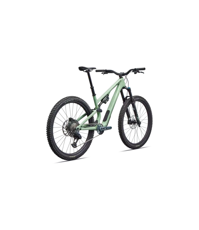 Specialized Stumpjumper 15 EVO Expert AXS - Gloss Pistachio / Dark Moss Green