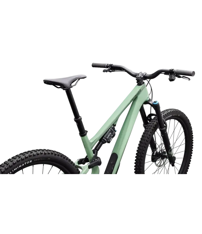 Specialized Stumpjumper 15 EVO Expert AXS - Gloss Pistachio / Dark Moss Green