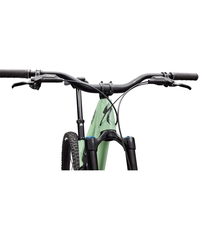 Specialized Stumpjumper 15 EVO Expert AXS - Gloss Pistachio / Dark Moss Green