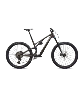 Specialized Stumpjumper 15 EVO Comp - Gloss Warmsmoke / Pistachio