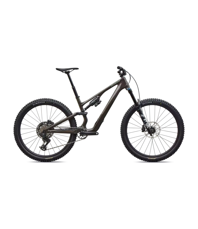 Specialized Stumpjumper 15 EVO Comp - Gloss Warmsmoke / Pistachio