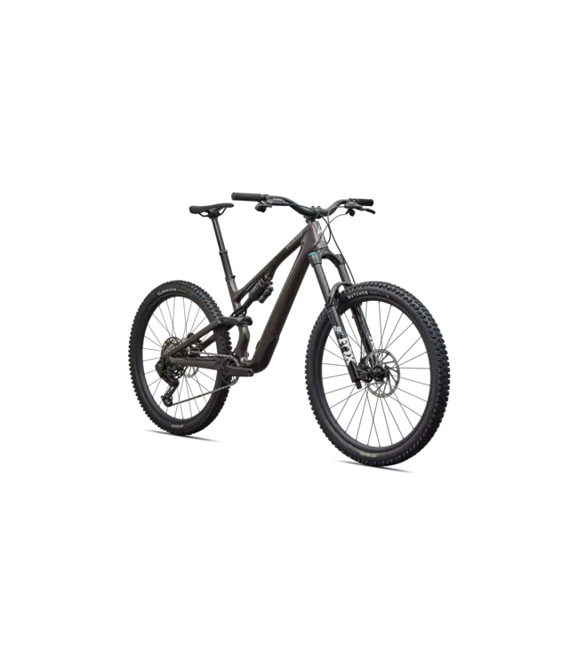 Specialized Stumpjumper 15 EVO Comp - Gloss Warmsmoke / Pistachio