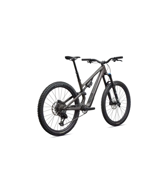 Specialized Stumpjumper 15 EVO Comp - Gloss Warmsmoke / Pistachio