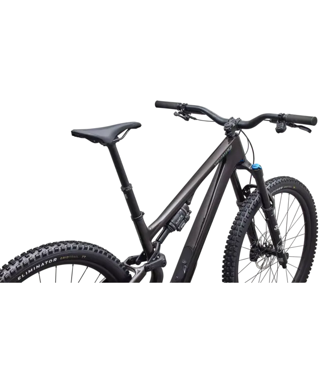 Specialized Stumpjumper 15 EVO Comp - Gloss Warmsmoke / Pistachio