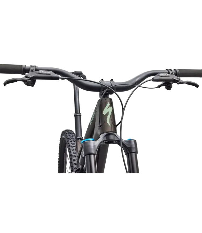 Specialized Stumpjumper 15 EVO Comp - Gloss Warmsmoke / Pistachio