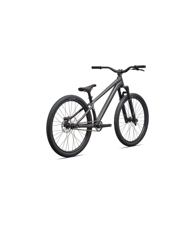Specialized P.3 - Satin Metallic Obsidian / Metallic White Silver