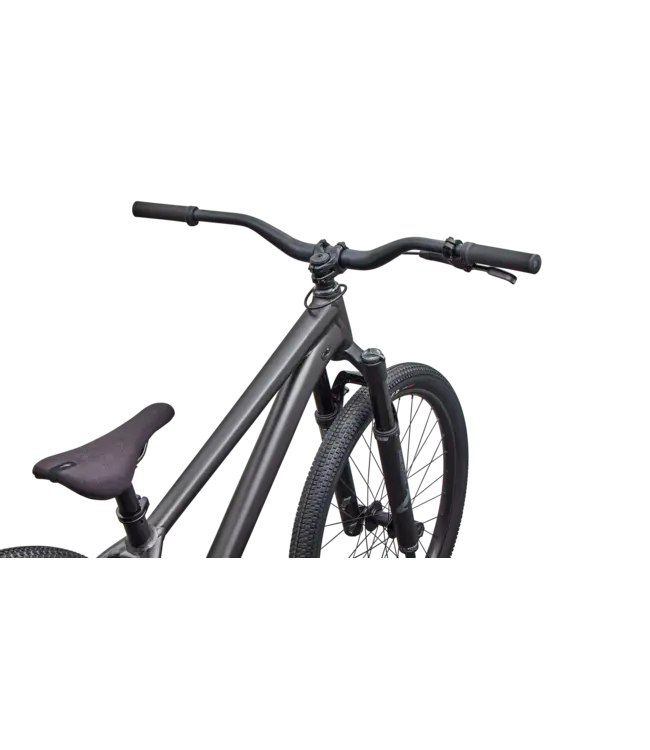 Specialized P.3 - Satin Metallic Obsidian / Metallic White Silver