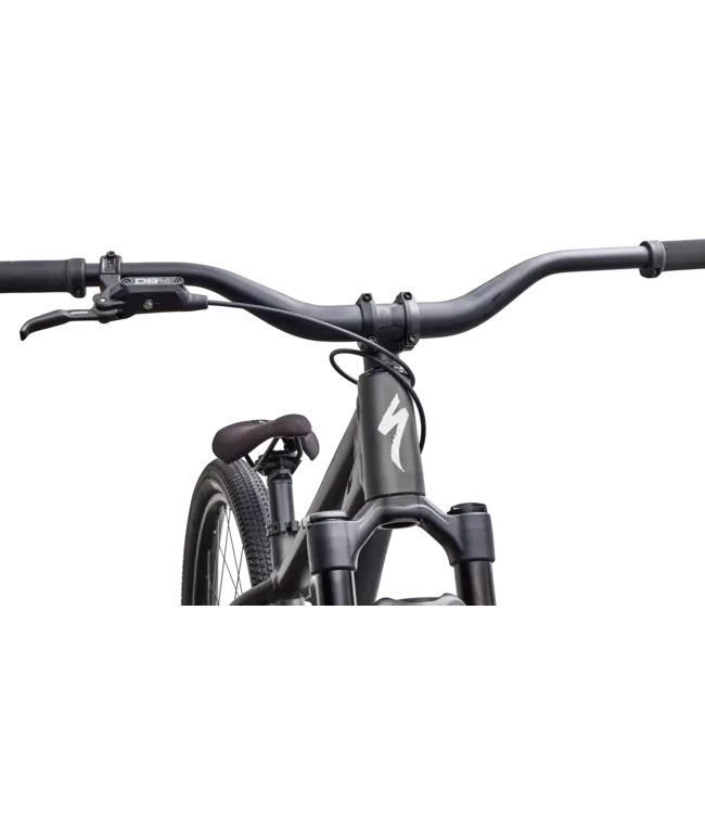 Specialized P.3 - Satin Metallic Obsidian / Metallic White Silver