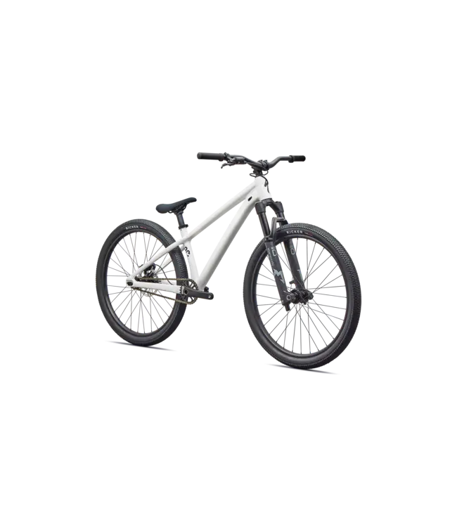 Specialized P.3 - Satin Metallic White Silver / Metallic Obsidian