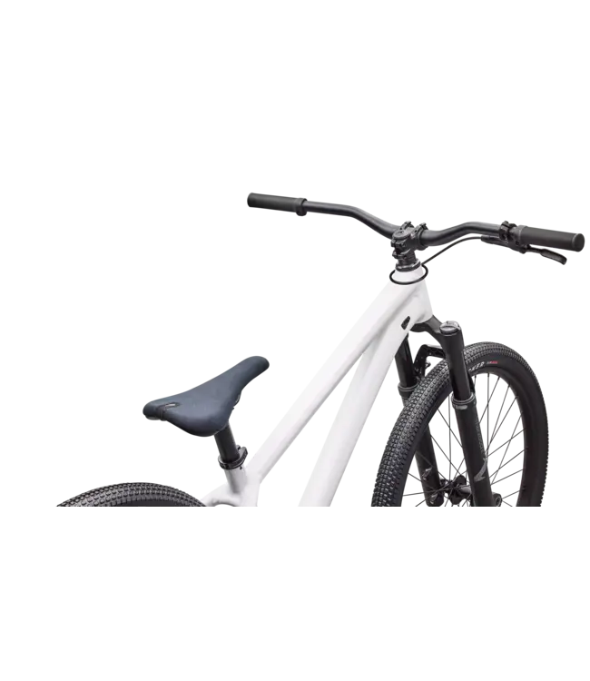 Specialized P.3 - Satin Metallic White Silver / Metallic Obsidian