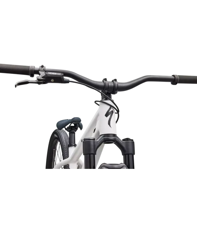 Specialized P.3 - Satin Metallic White Silver / Metallic Obsidian