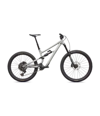 Specialized Status 2 170 - Gloss Shadow Silver / Dolomite Metallic / California