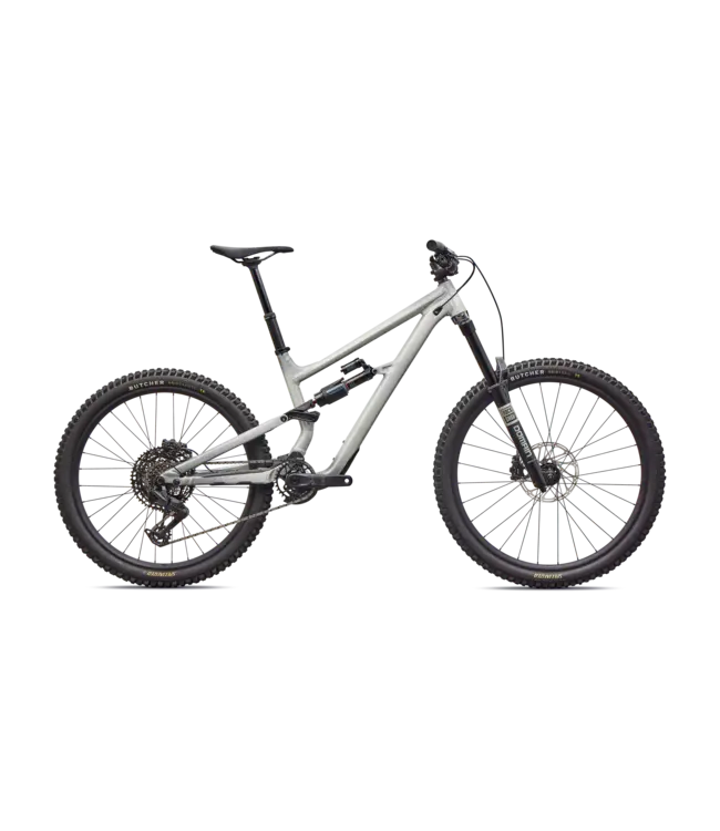 Specialized Status 2 170 - Gloss Shadow Silver / Dolomite Metallic / California