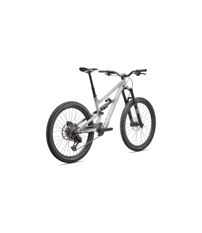 Specialized Status 2 170 - Gloss Shadow Silver / Dolomite Metallic / California