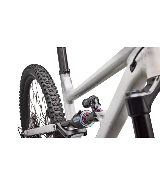 Specialized Status 2 170 - Gloss Shadow Silver / Dolomite Metallic / California