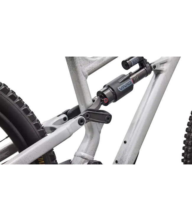 Specialized Status 2 170 - Gloss Shadow Silver / Dolomite Metallic / California