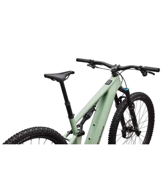 Specialized Turbo Levo R Expert - Satin Pistachio / Dark Moss Green