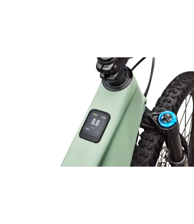 Specialized Turbo Levo R Expert - Satin Pistachio / Dark Moss Green