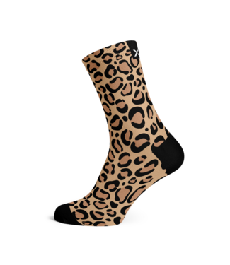 Sox Footwear Socks Gold Leopard