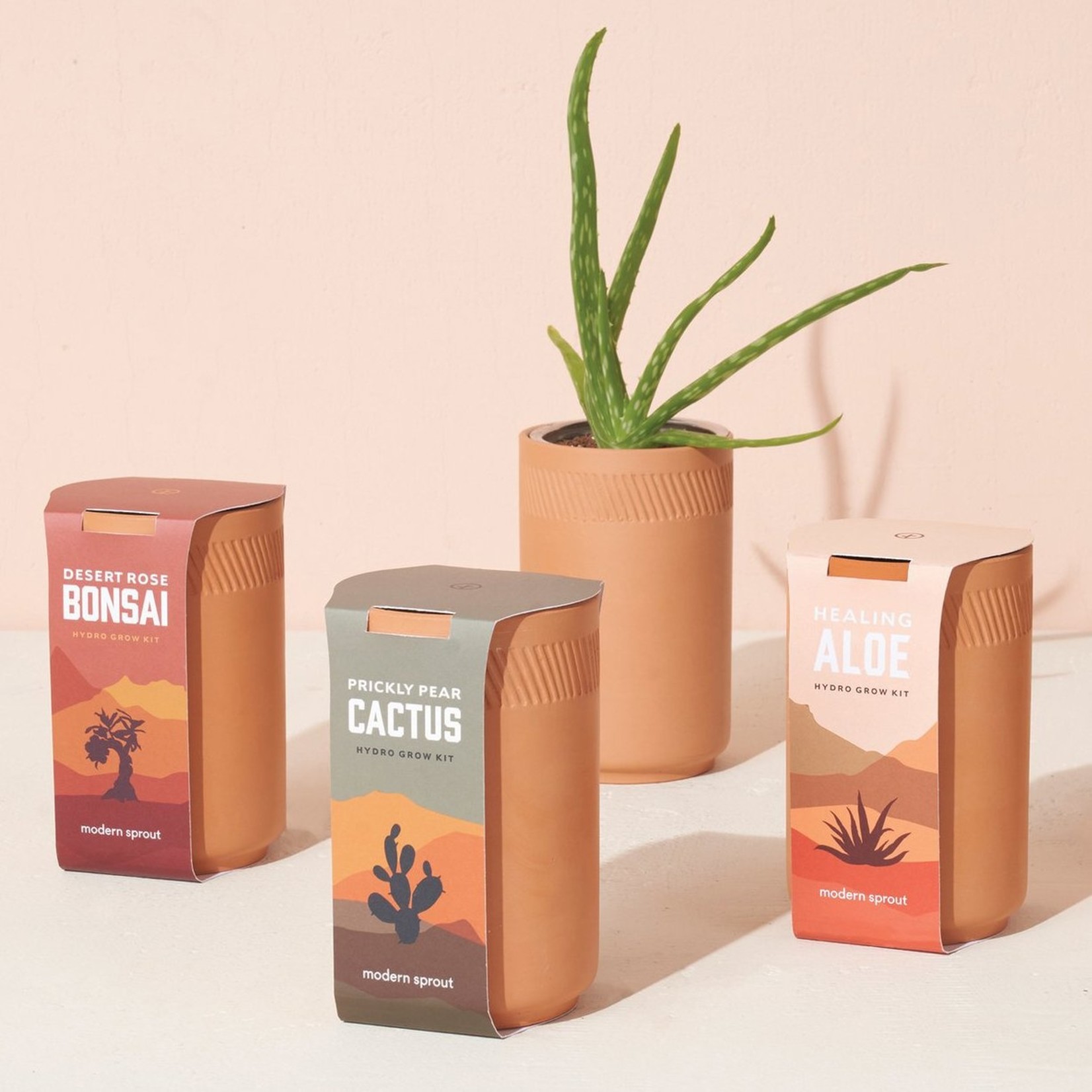 Modern Sprout Terracotta Grow Kits