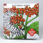 Hudson Valley Seeds Butterfly Weed Seeds