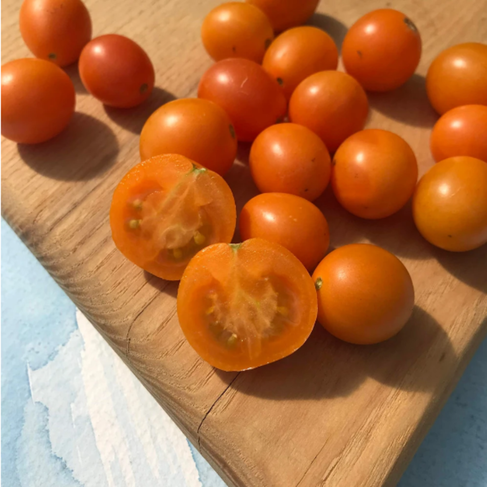 Hudson Valley Seeds Honey Drop Cherry Tomato Seeds