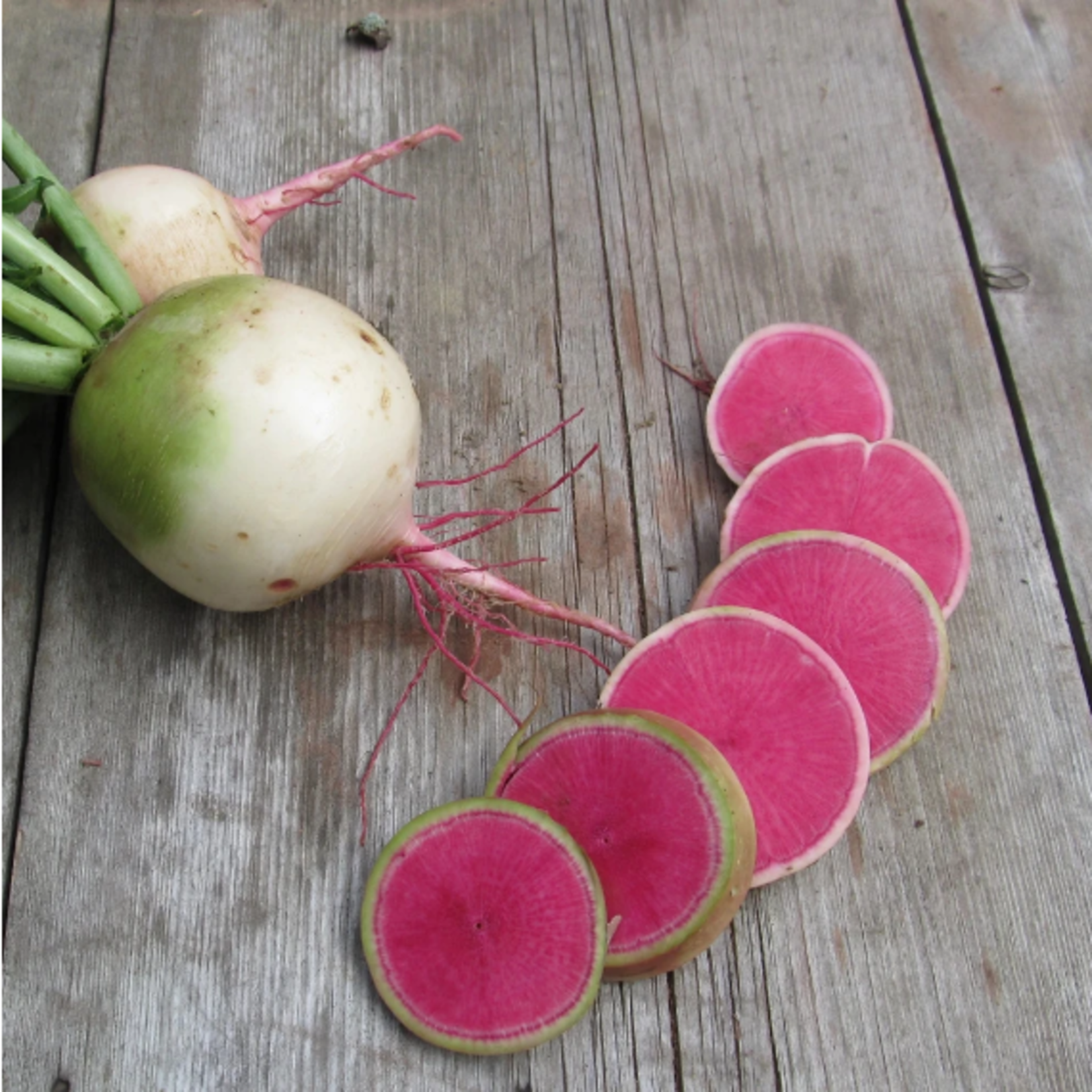 Hudson Valley Seeds Watermelon Radish Seeds