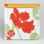 Hudson Valley Seeds Variegated Nasturtium Seeds