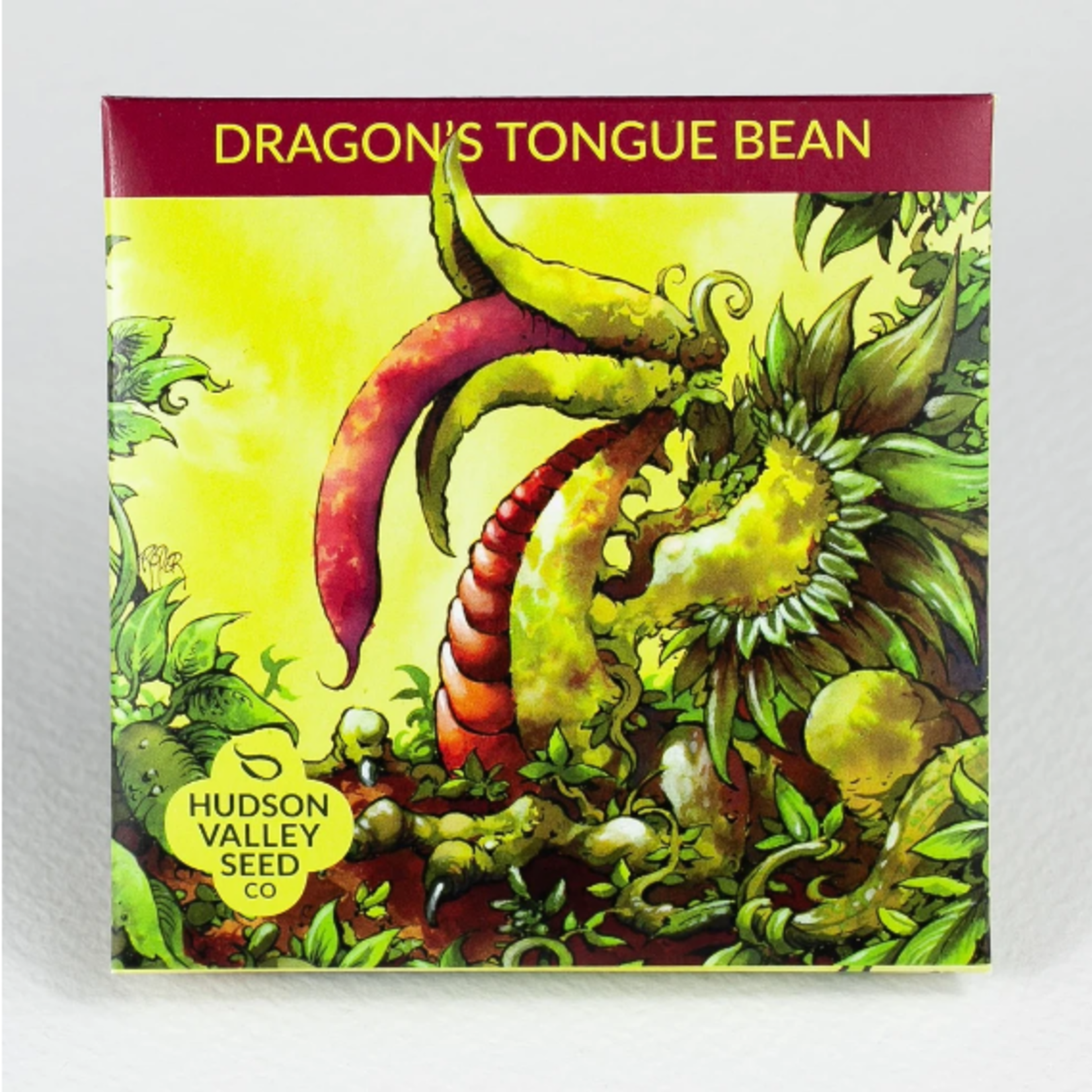 Hudson Valley Seeds Dragon's Tongue Bean Seeds