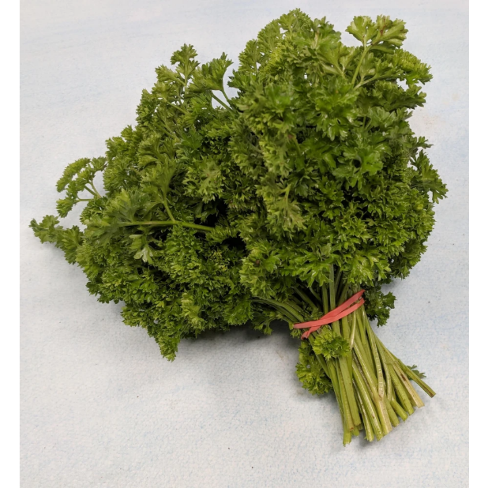 Hudson Valley Seeds Moss Curled Parsley Seeds