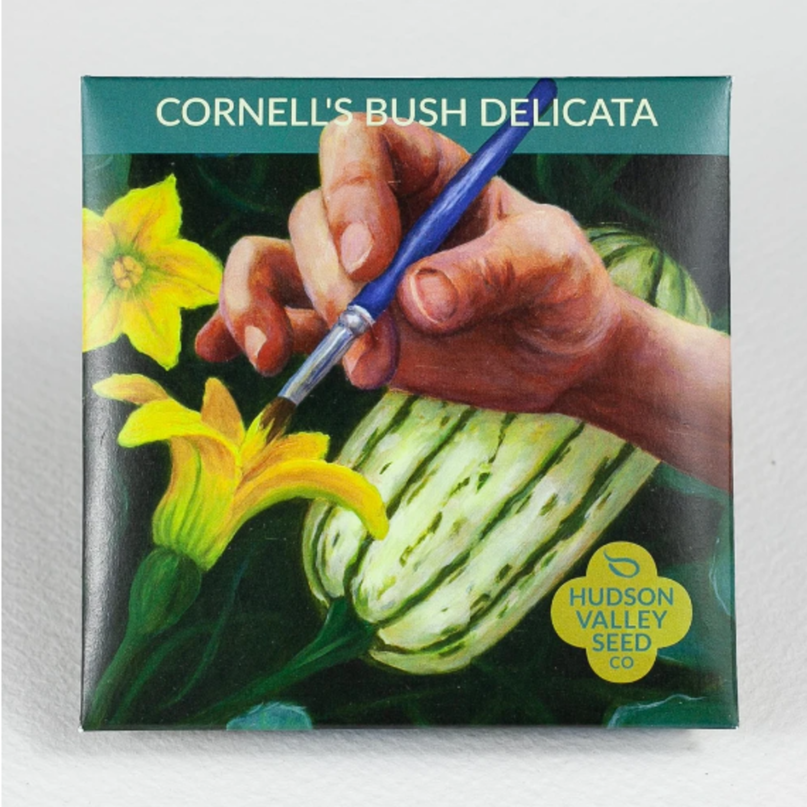 Hudson Valley Seeds Cornell's Bush Delicata Seeds