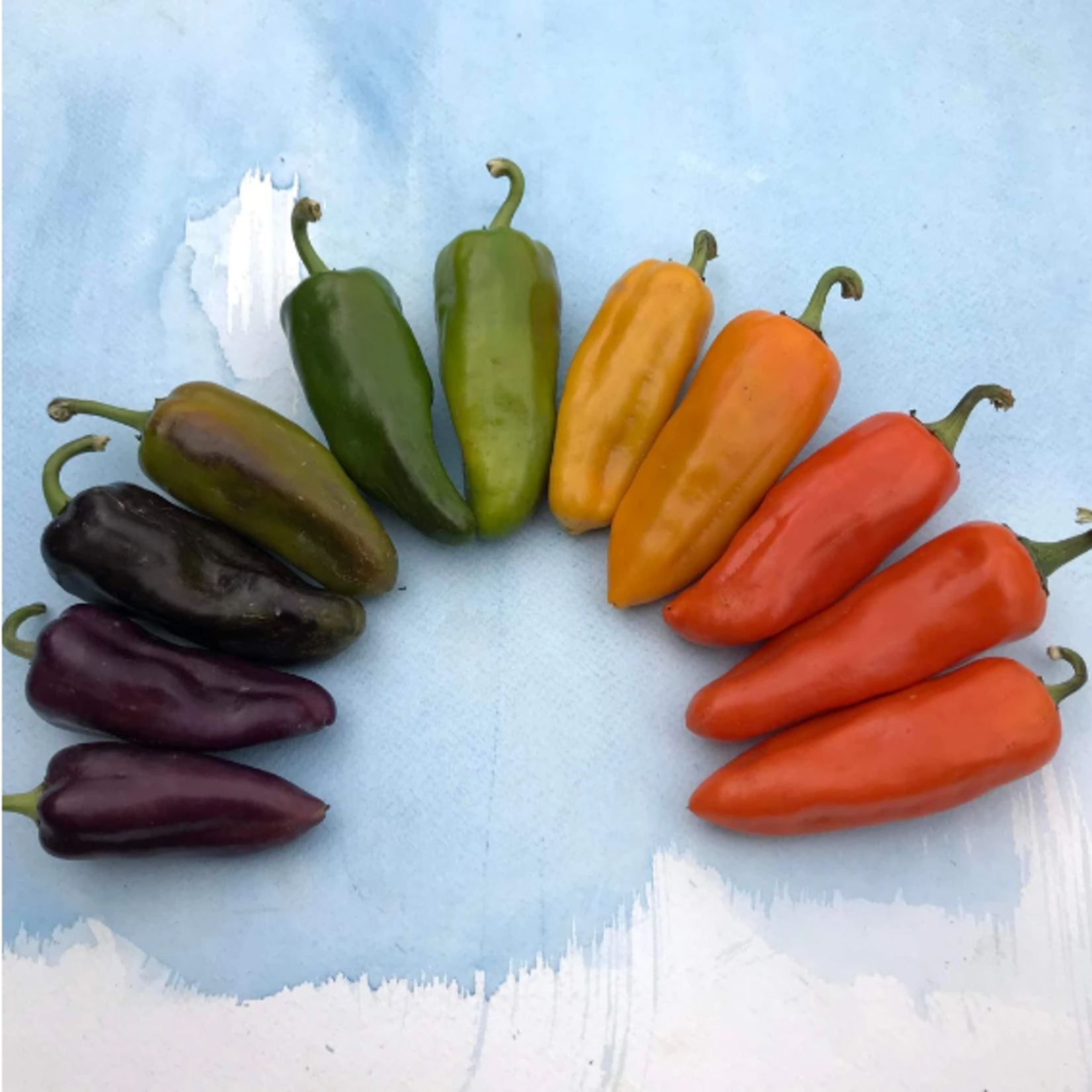 Hudson Valley Seeds Pippin's Golden Honey Pepper