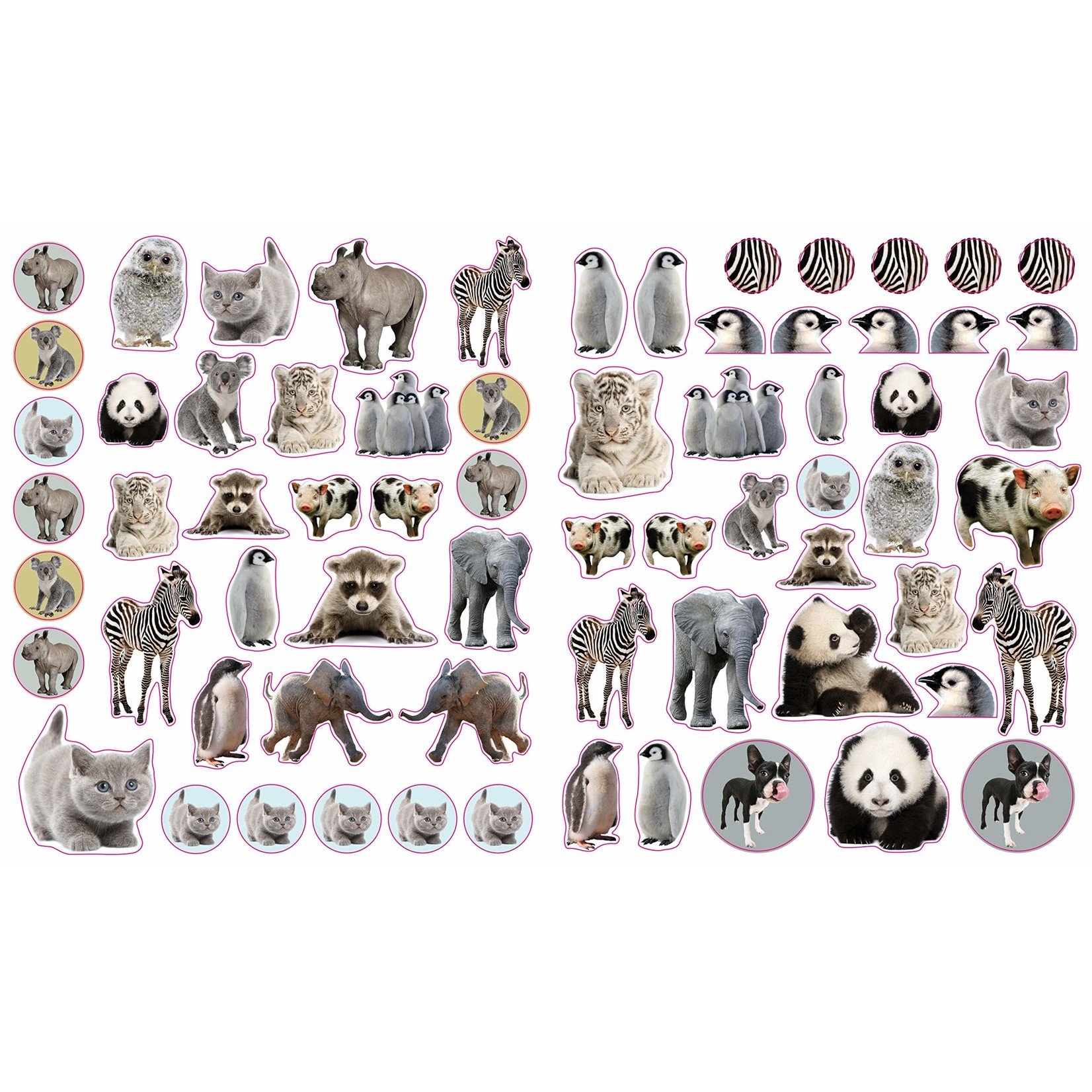 Hachette Baby Animals Reusable Stickers