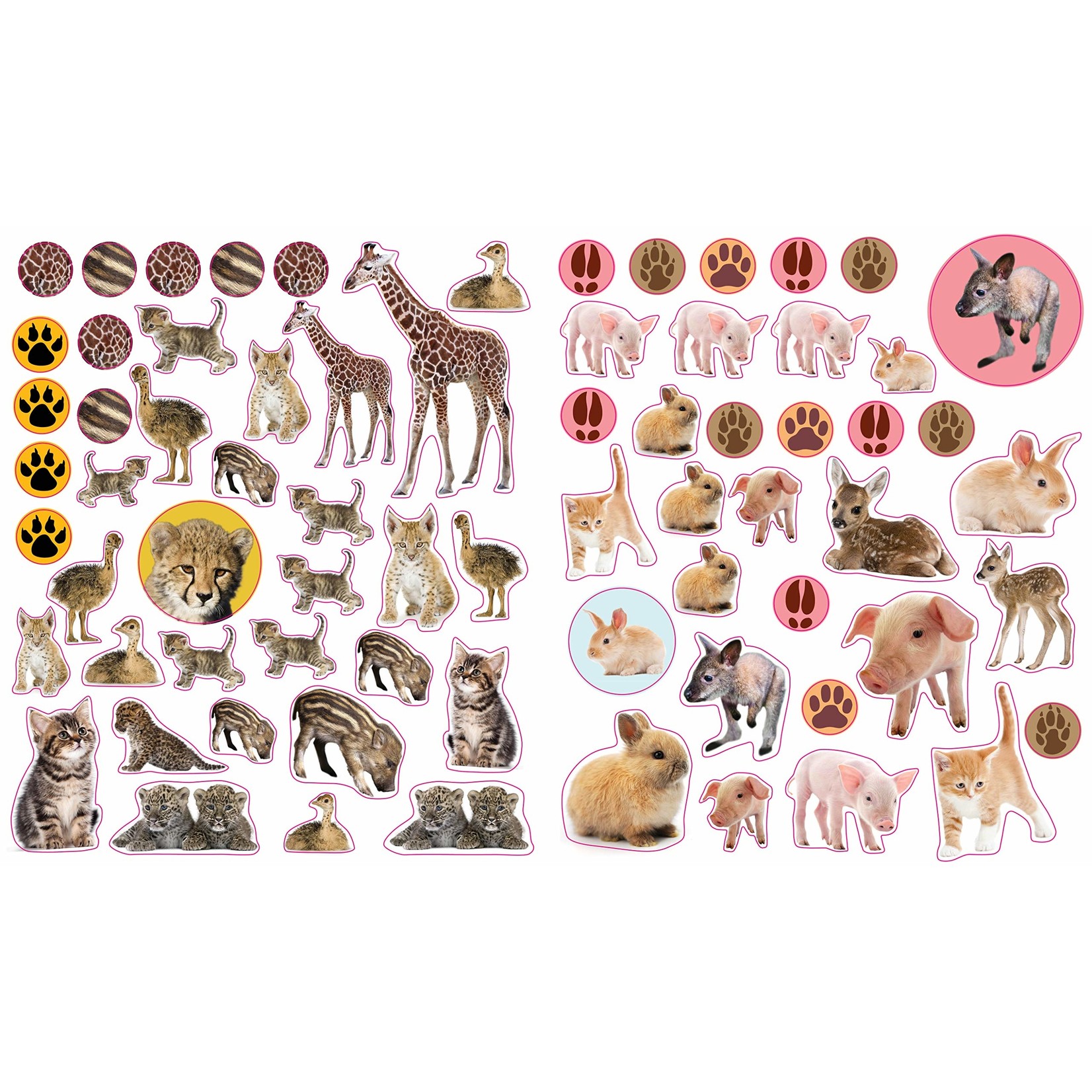 Hachette Baby Animals Reusable Stickers