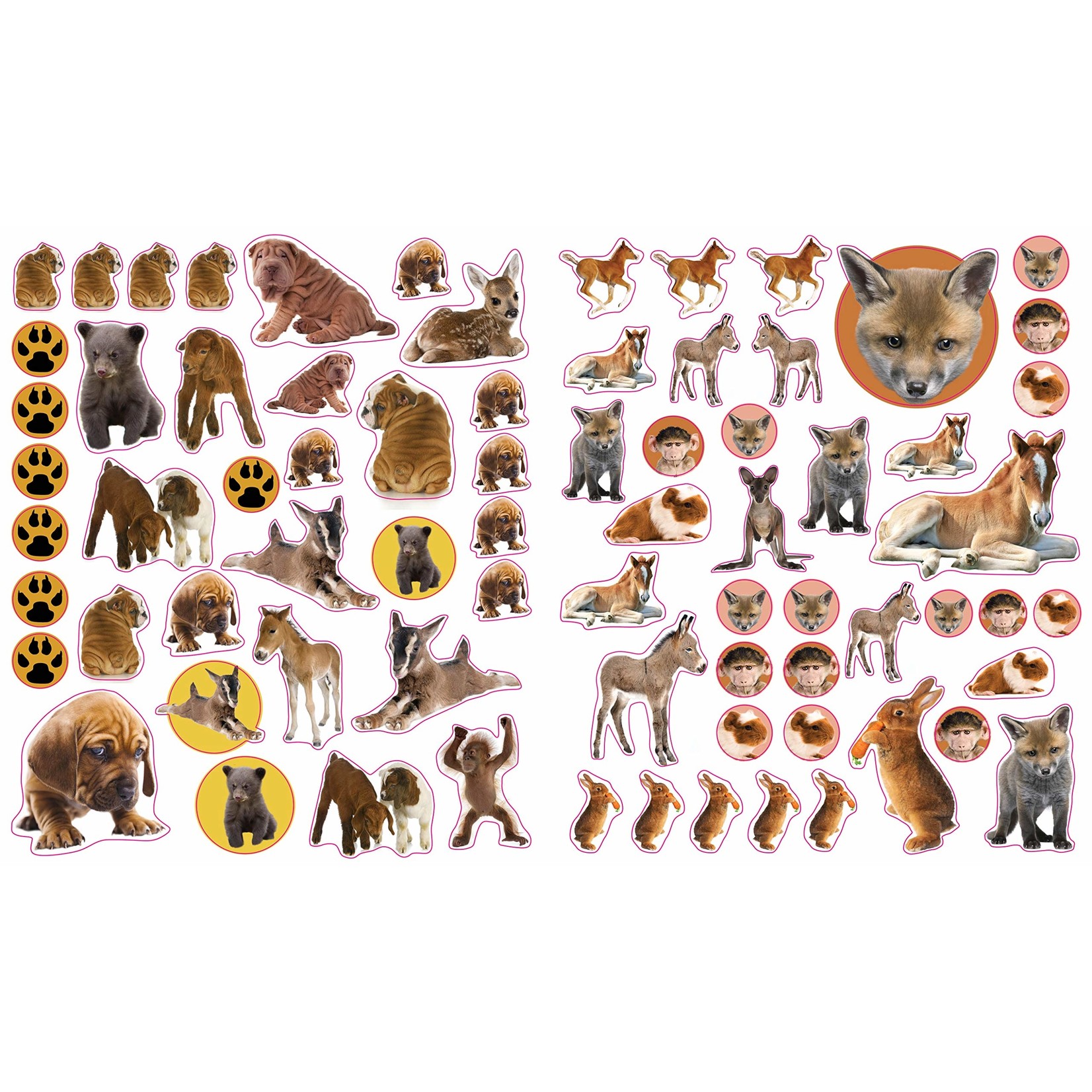Hachette Baby Animals Reusable Stickers