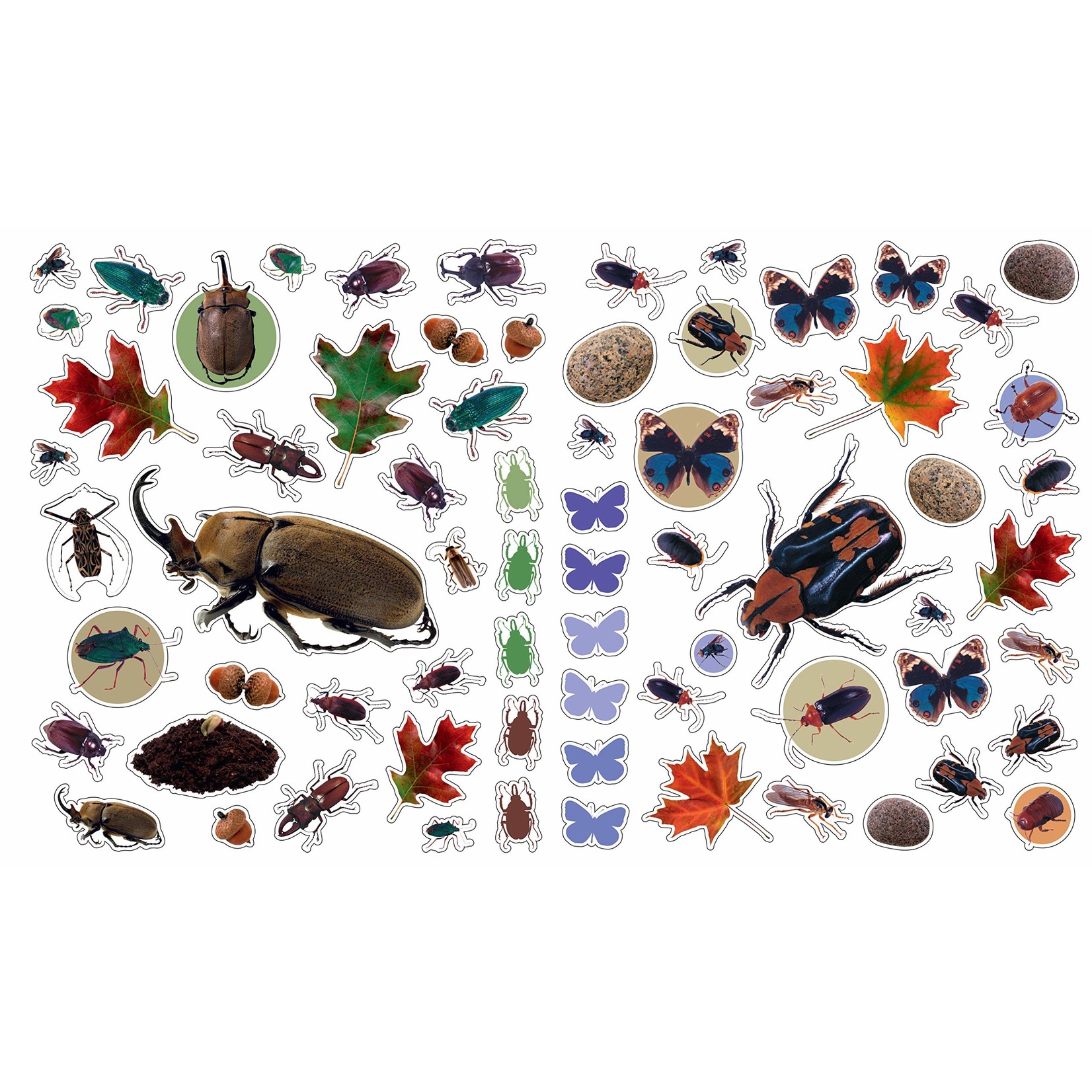 Hachette Bugs Reusable Stickers