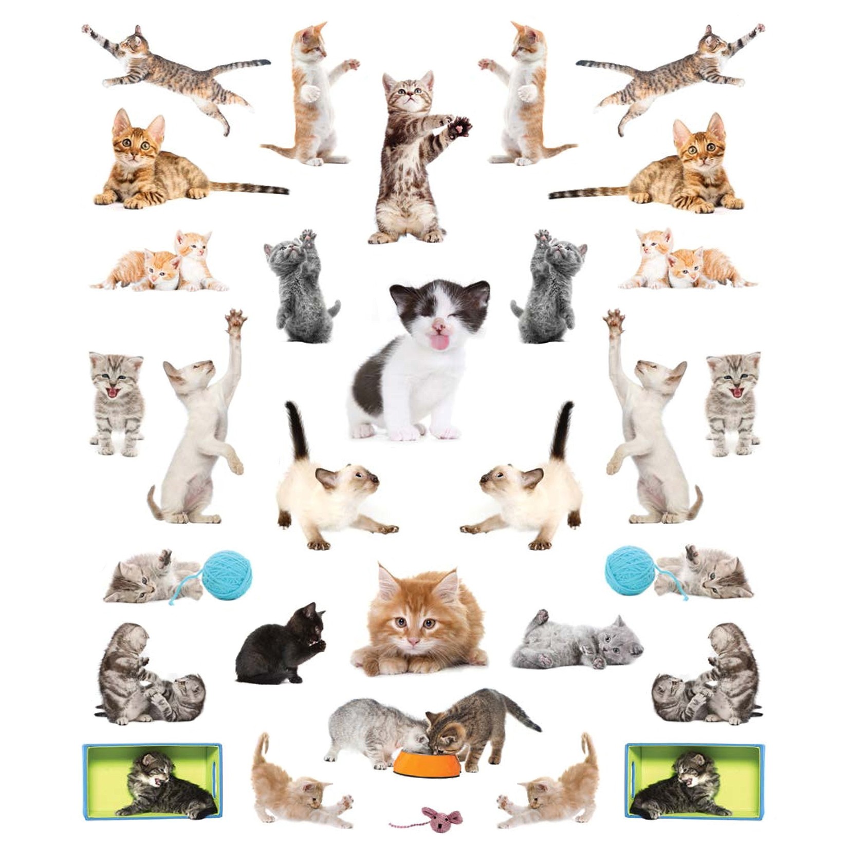 Hachette Kittens Reusable Stickers