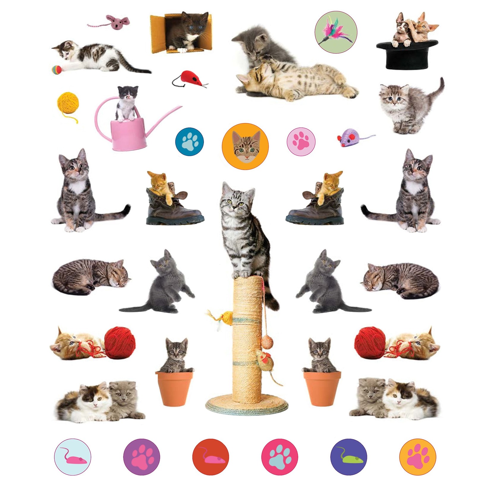 Hachette Kittens Reusable Stickers