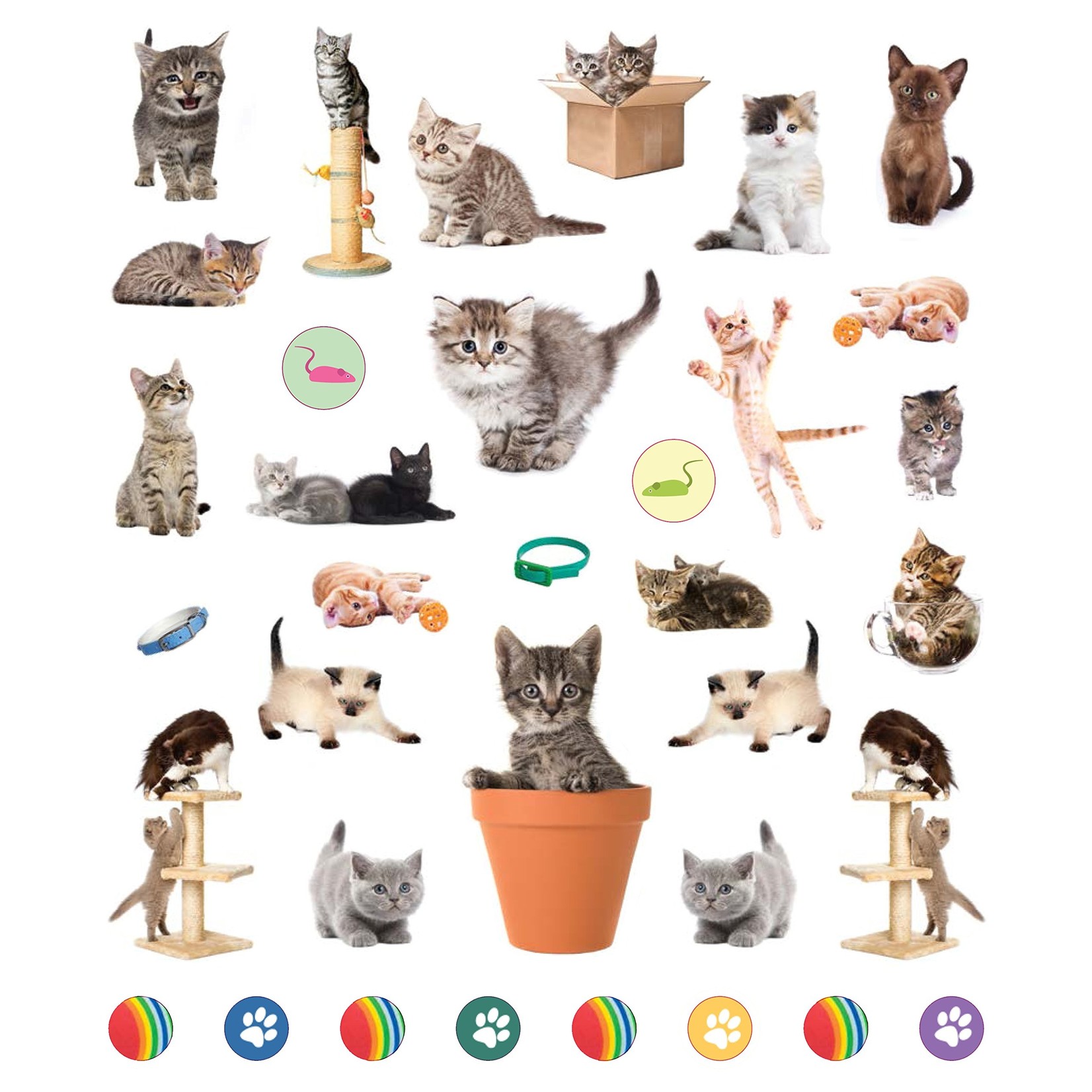 Hachette Kittens Reusable Stickers