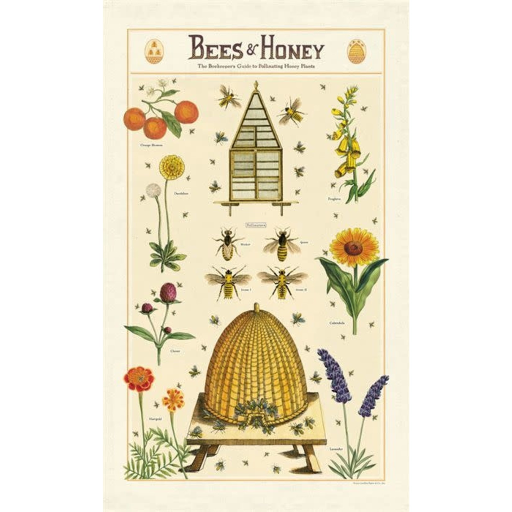 Cavallini Bees & Honey Tea Towel