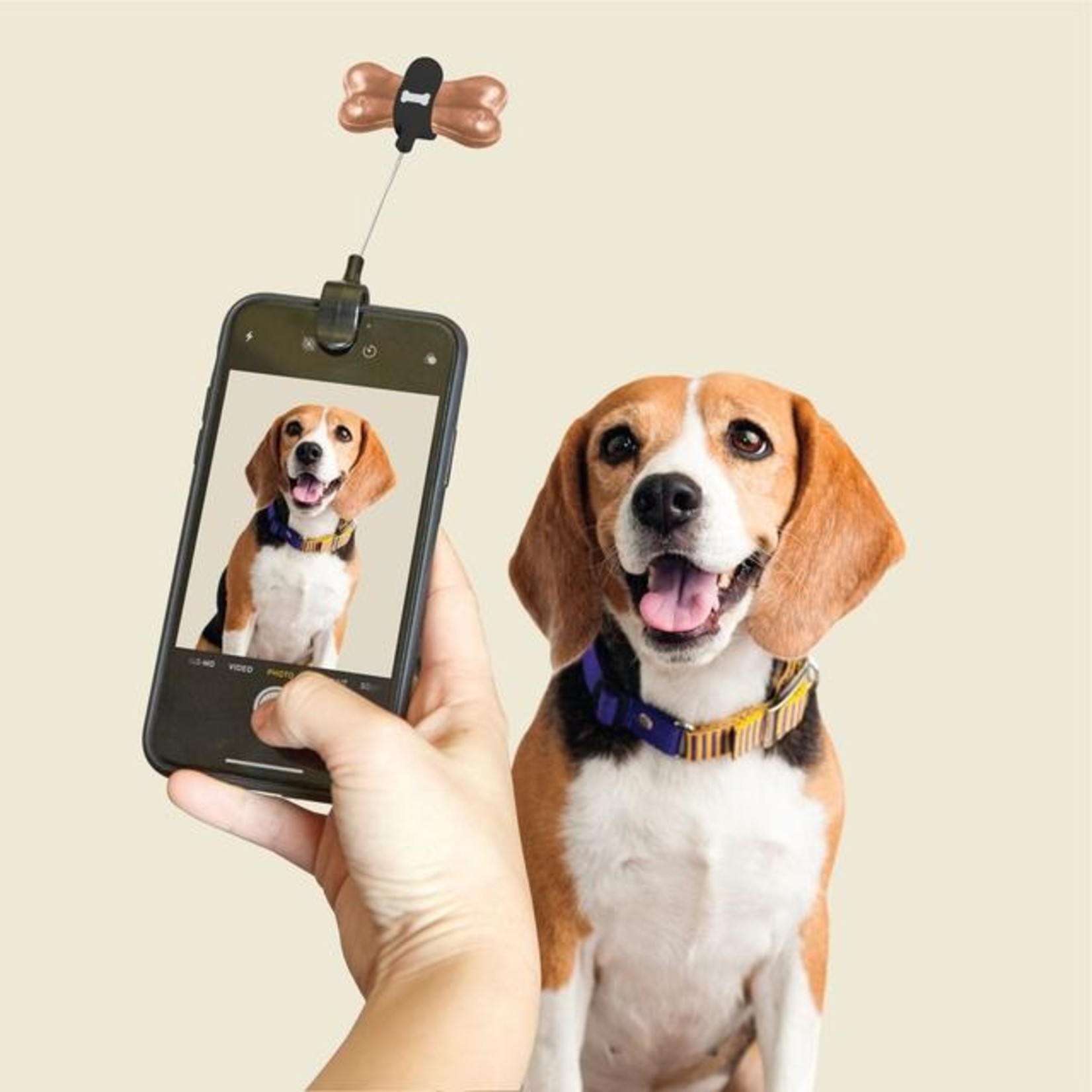 Kikkerland Dog Treat Selfie Clip