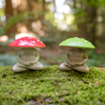 Meditating Mushrooms