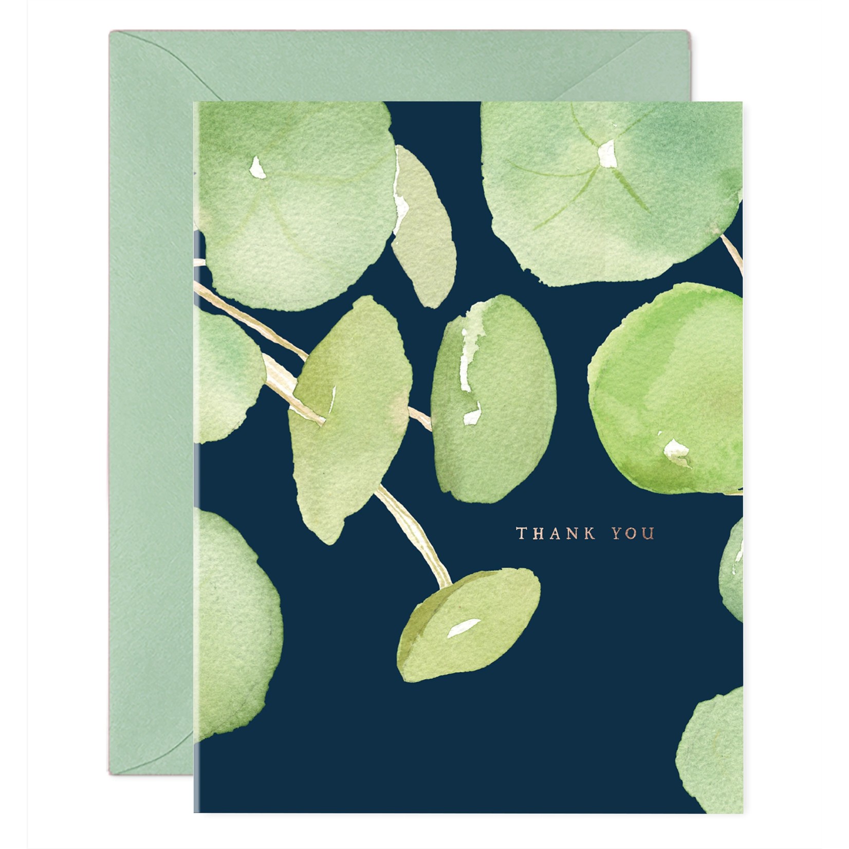 Thank You Card: Pilea
