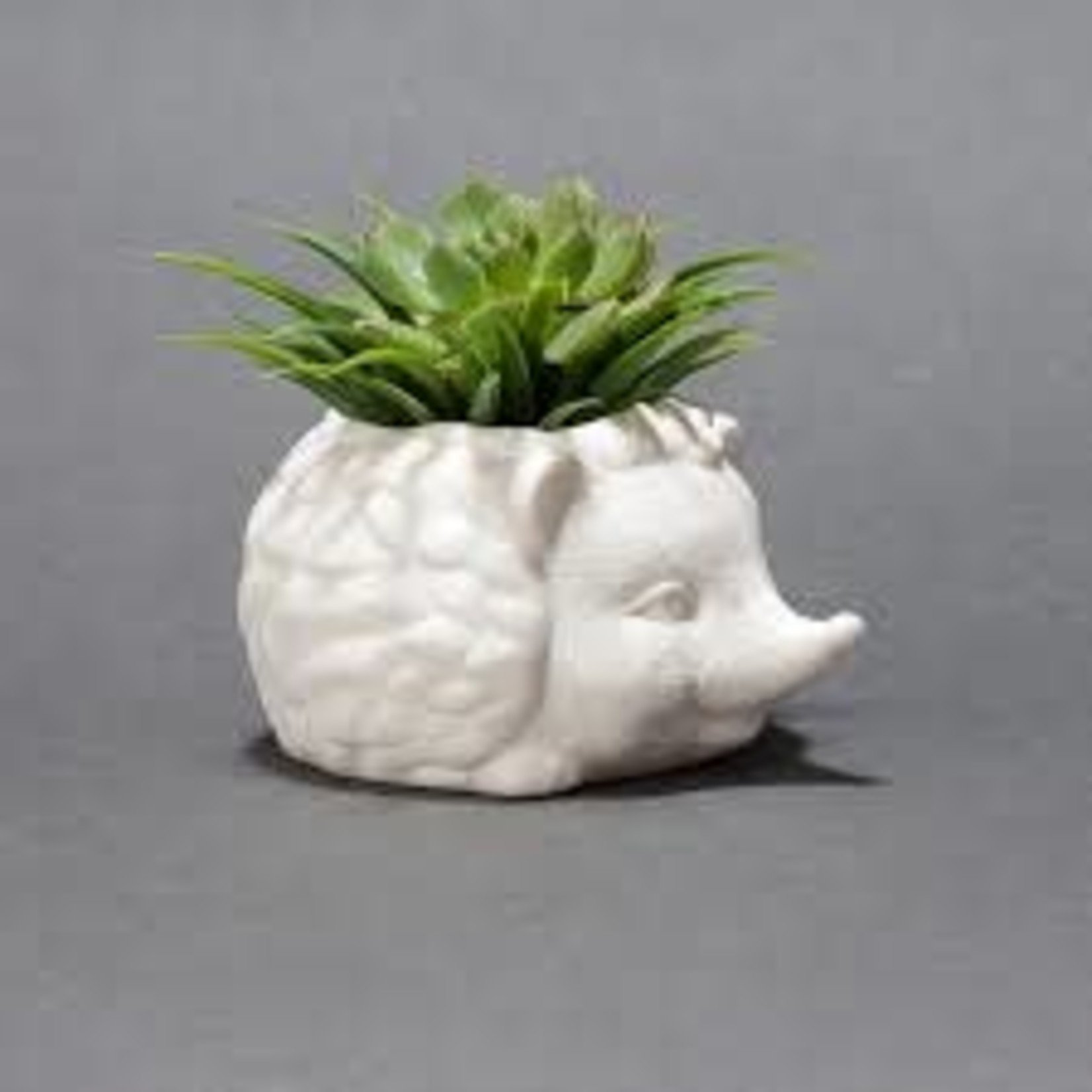 Kikkerland Hedgehog Planter