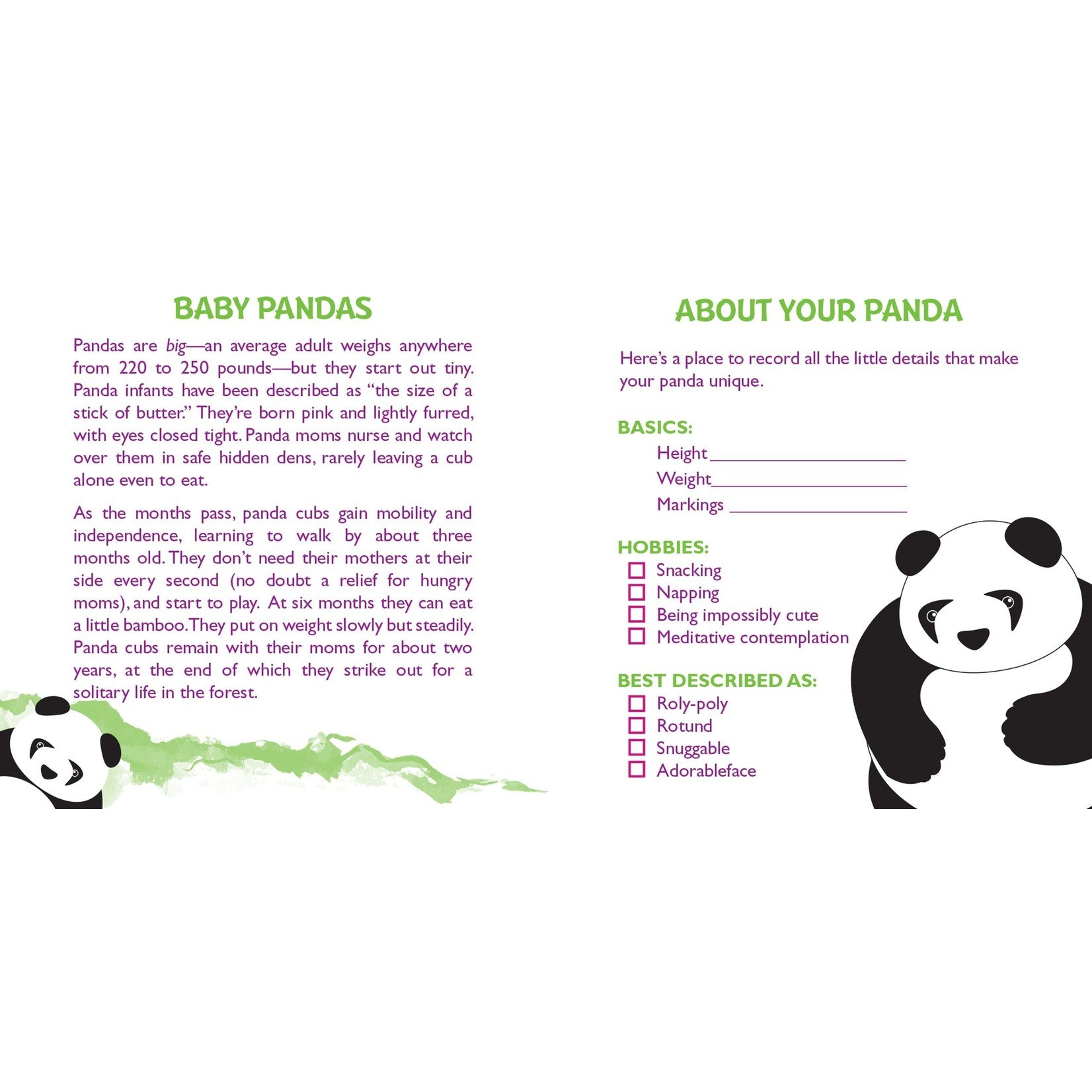 Hug a Panda Rescue Kit
