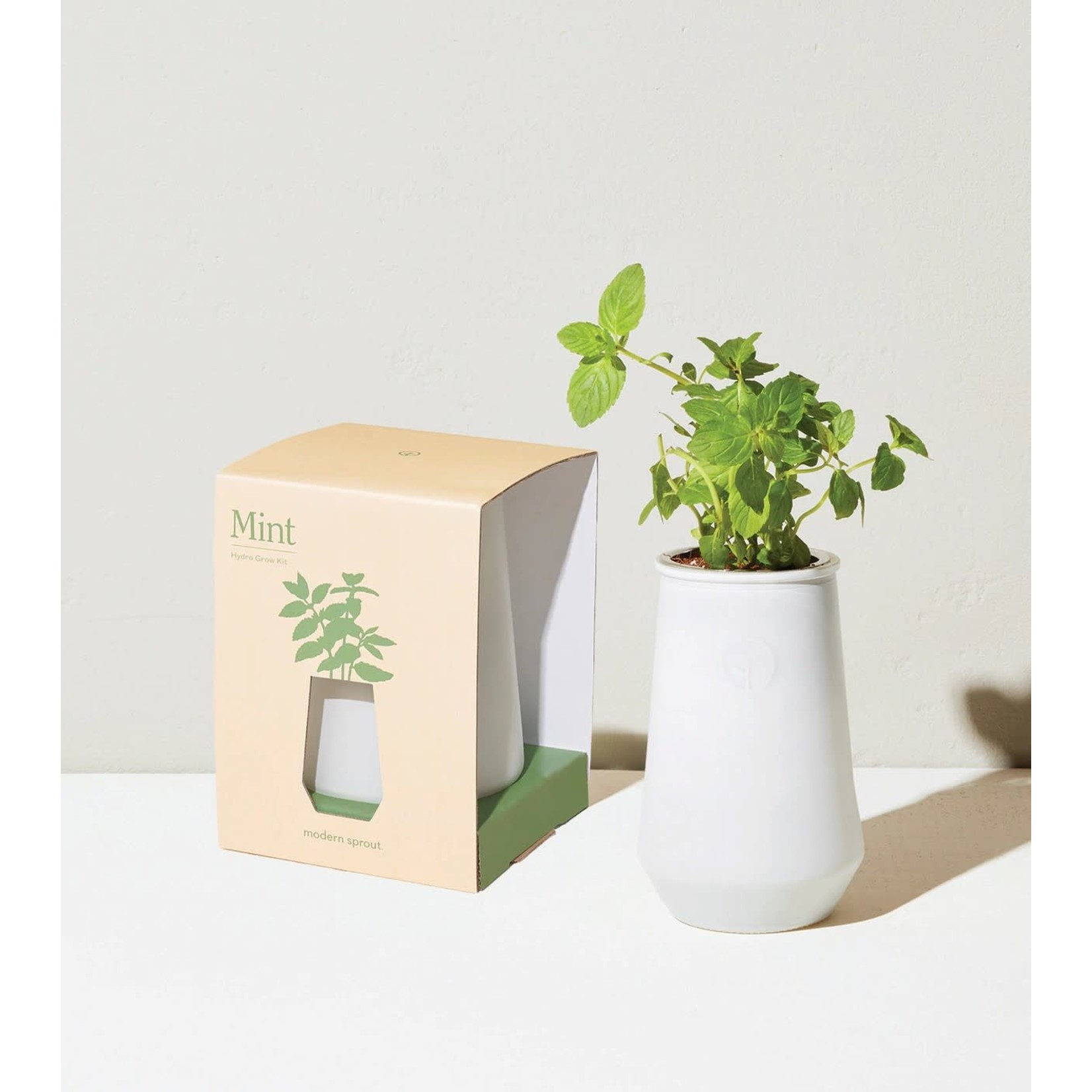 Modern Sprout Tapered Tumbler Grow Kits