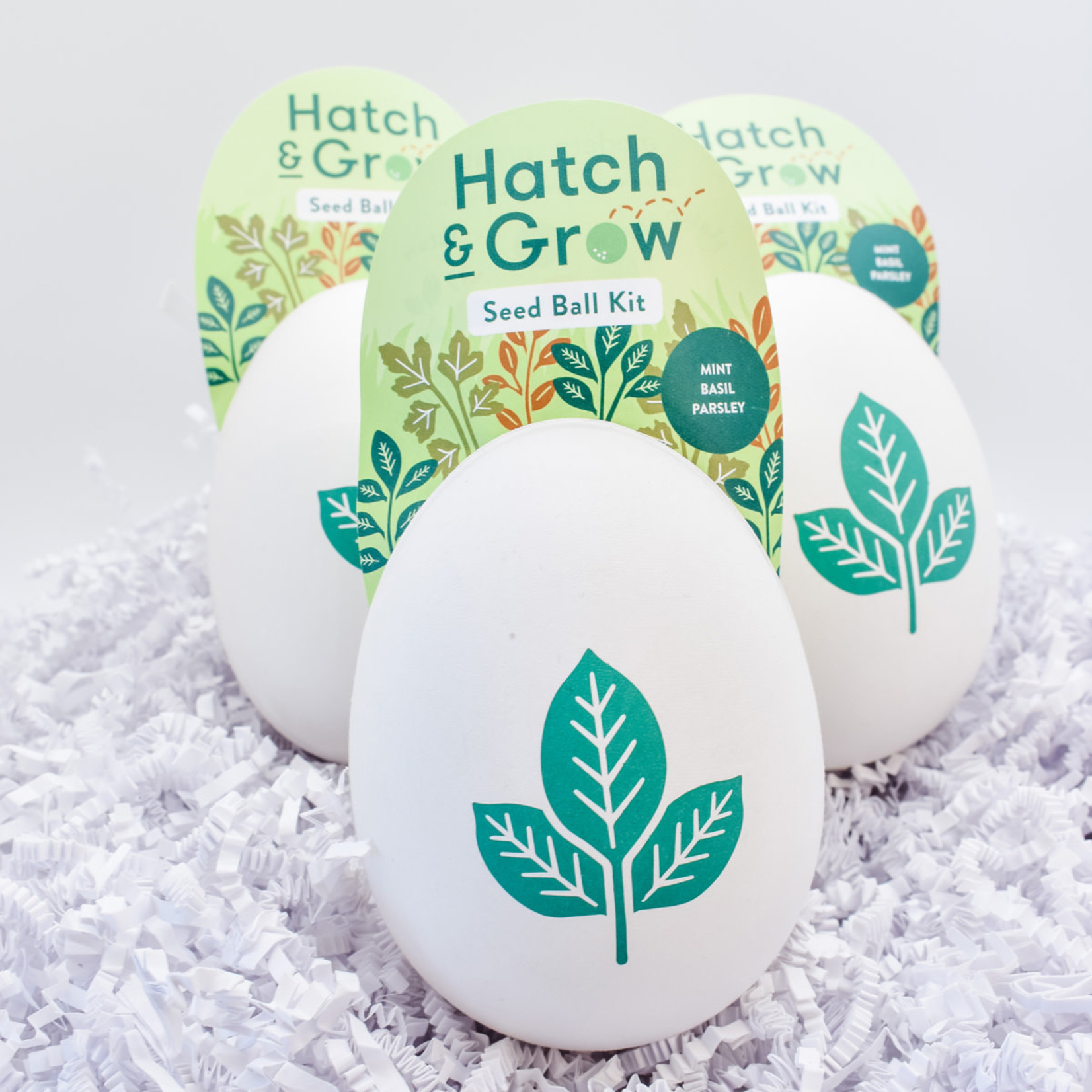 Modern Sprout Hatch & Grow Seed Ball Kits